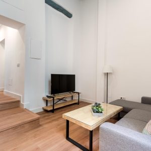 Apartamentos leoncillos sevilla lc1 13