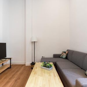 Apartamentos leoncillos sevilla lc1 14