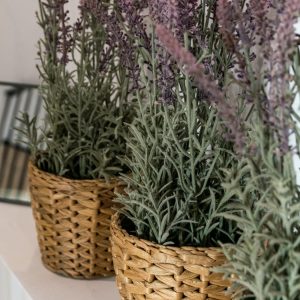 Apartamentos leoncillos sevilla lc1 33